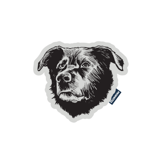 The Bear Buddy – Squeaky Dog Toy