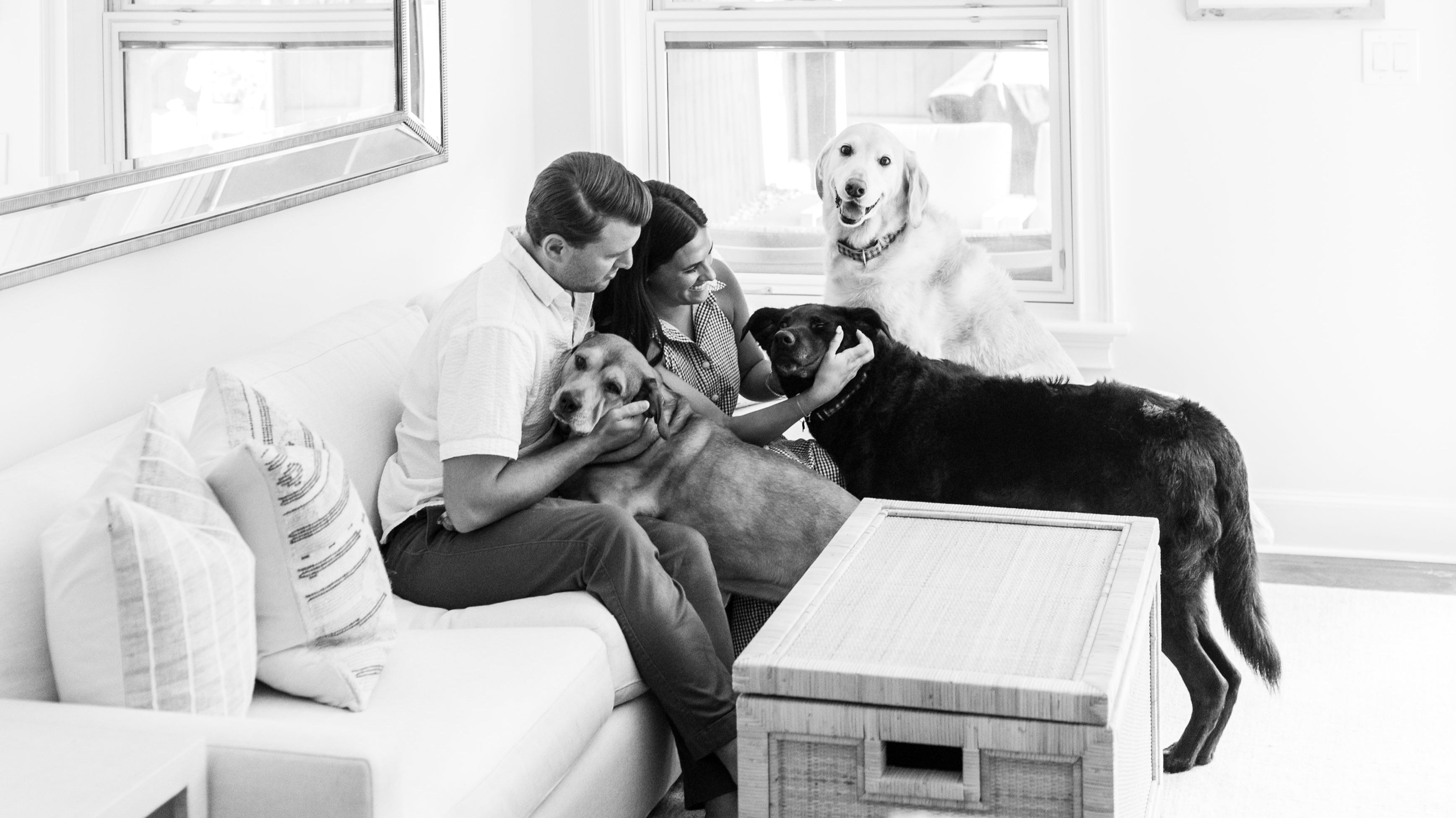 Person sitting on a couch with two dogs in a modern living room.