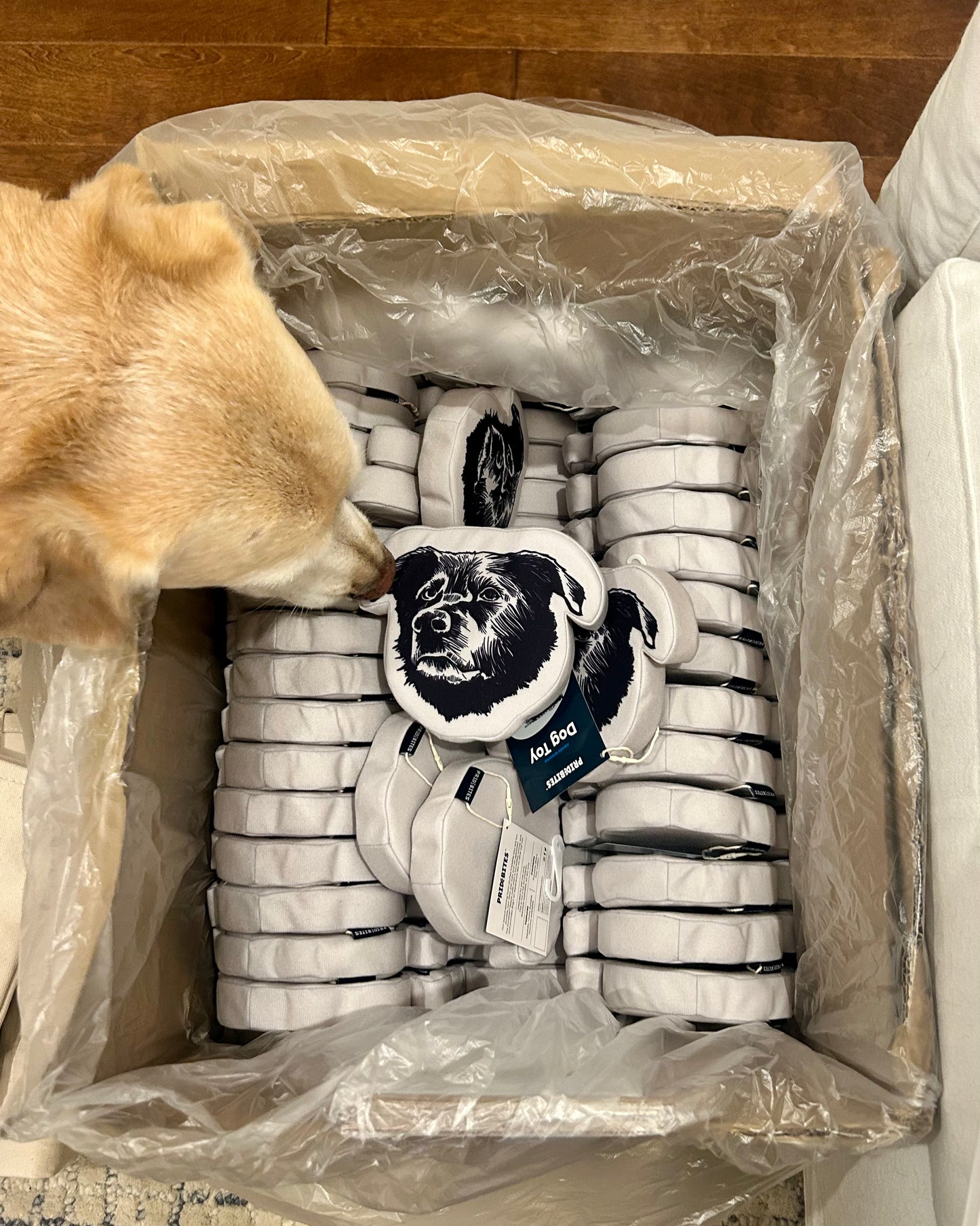 The Bear Buddy – Squeaky Dog Toy