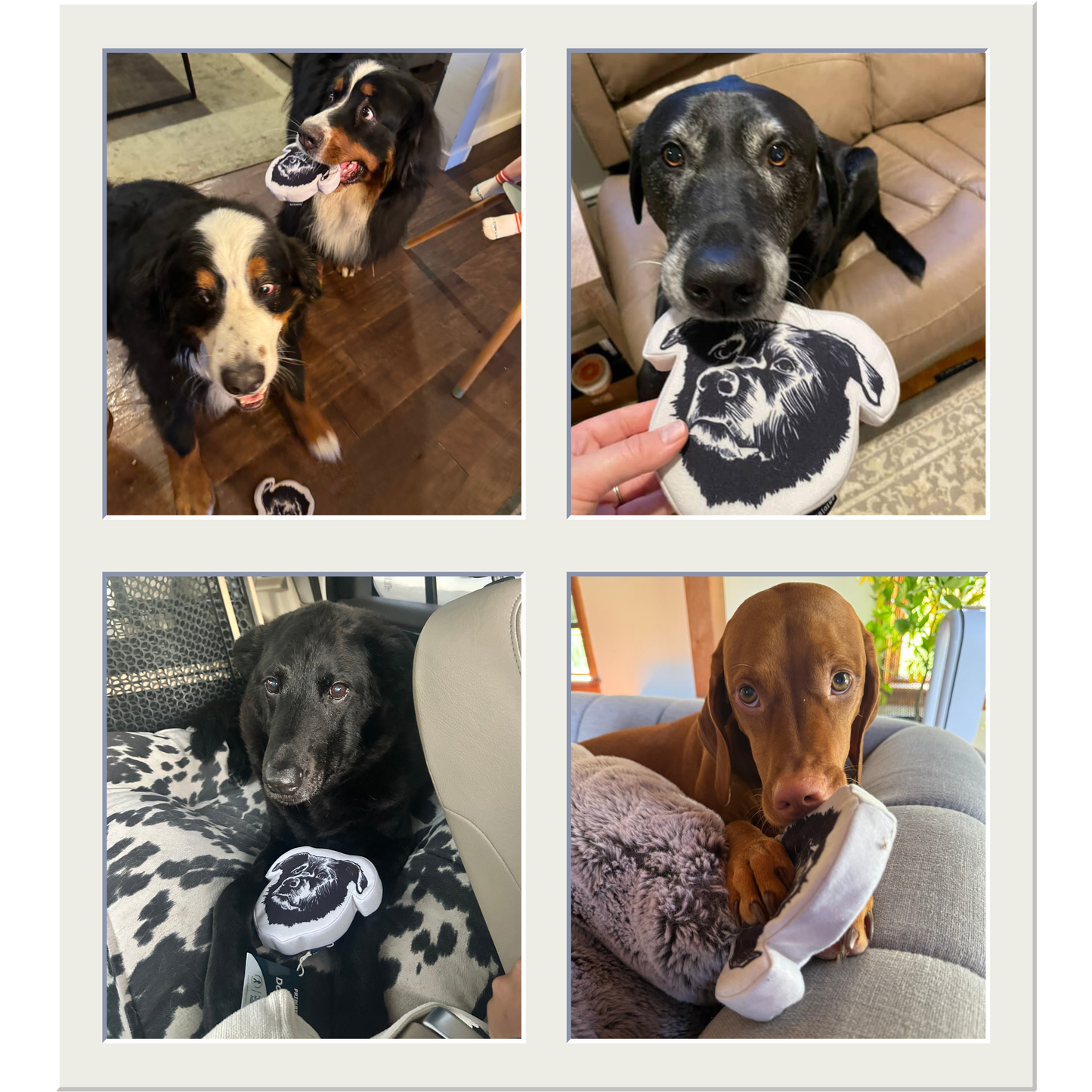 The Bear Buddy – Squeaky Dog Toy