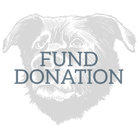 Fund Donation